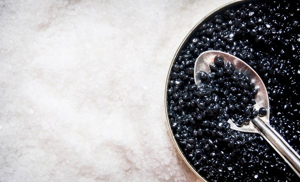 Caviar d'Aquitaine : l'harmonie entre tradition et écologie